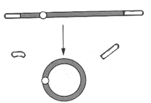 mecanism ring